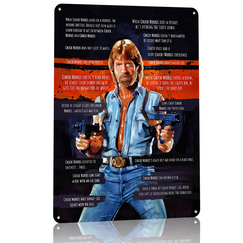 Chuck Norris Memes Metal Poste - đánh giá và giá Retro Gaming Meme